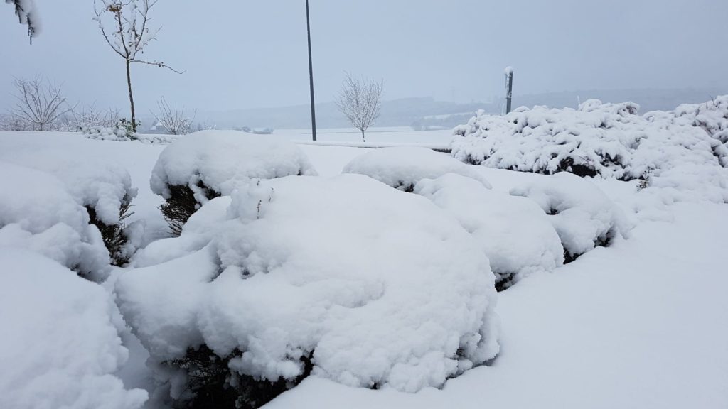 Neige Vosges Météo Grand Est