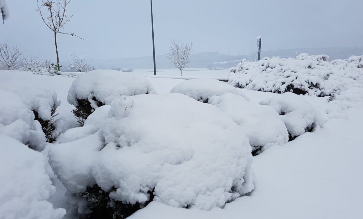 Neige Vosges Météo Grand Est