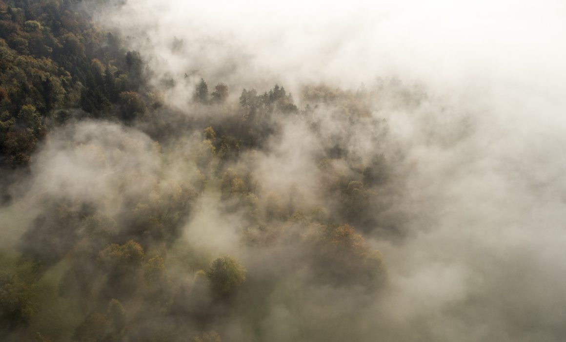 Météo Grand Est Brouillard