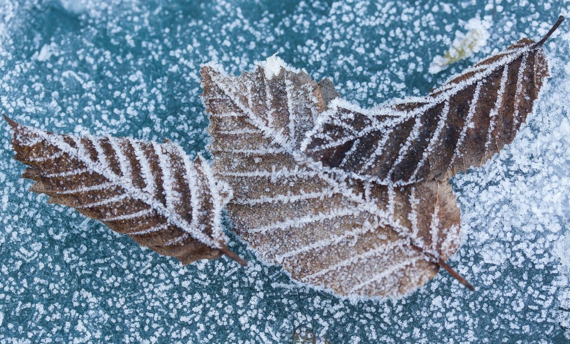 Météo Alsace