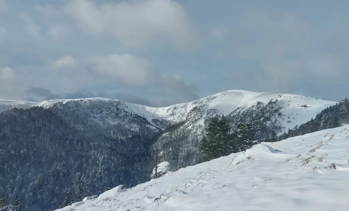 La neige est-elle pour bientôt sur le massif des Vosges ?